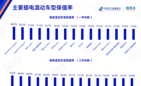 买新能源车要看保值率，否则一年亏十几万，买对了就不会多亏钱